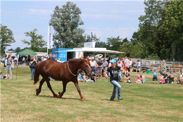 Impressionen der Tierschau 2019 in Stollhamm.