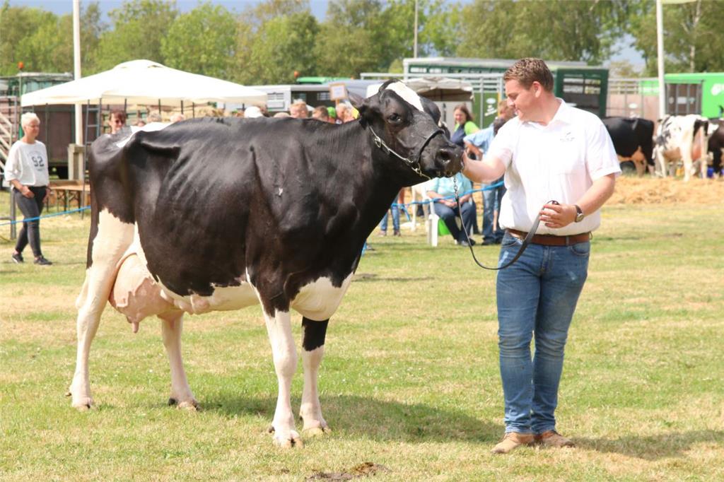 Impressionen der Tierschau 2019 in Stollhamm.