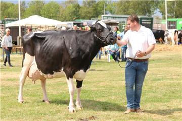 Impressionen der Tierschau 2019 in Stollhamm.