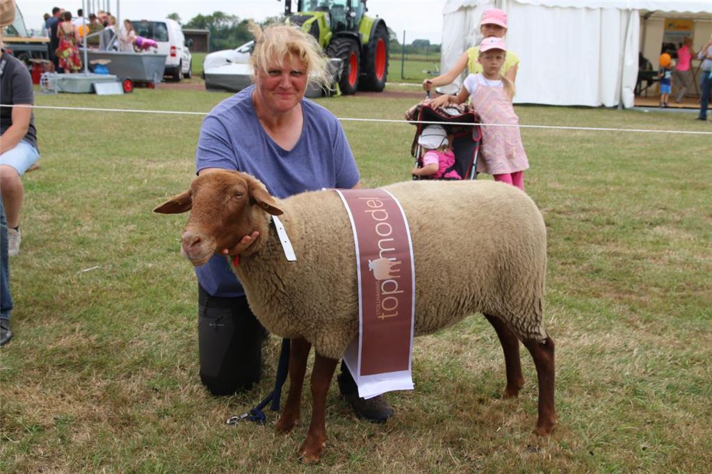 Impressionen der Tierschau 2019 in Stollhamm.