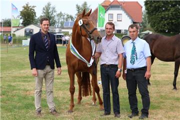 Impressionen der Tierschau 2019 in Stollhamm.