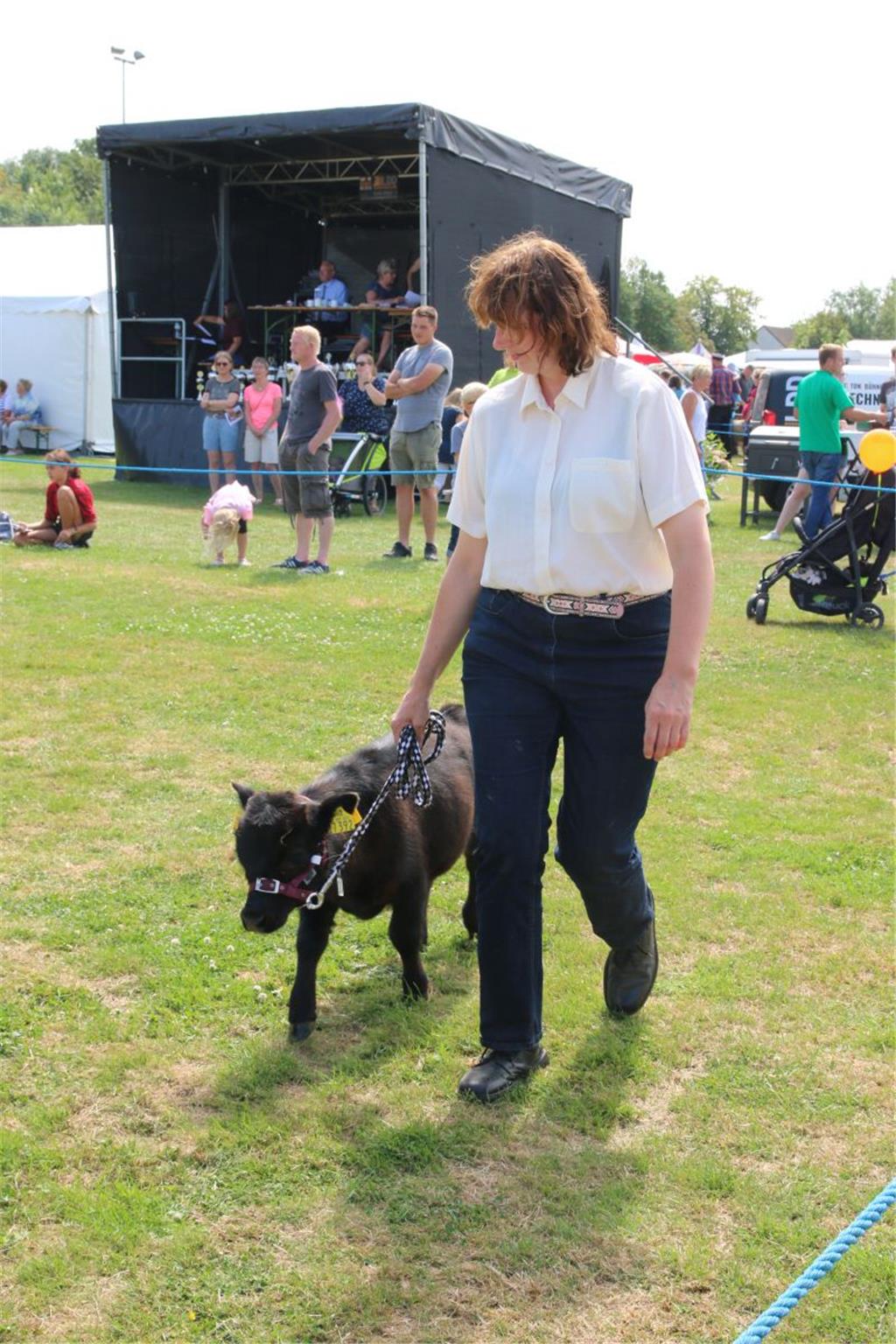Impressionen der Tierschau 2019 in Stollhamm.