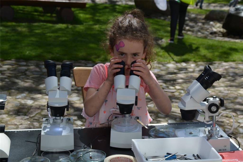 Impressionen vom langen Tag der StadtNatur. Foto: Scheiter