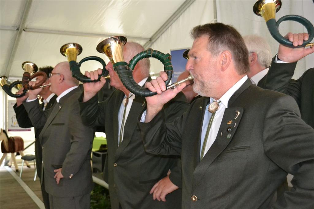 Impressionen vom Tag des offenen Hofes in Uthlede. Foto: Hansen
