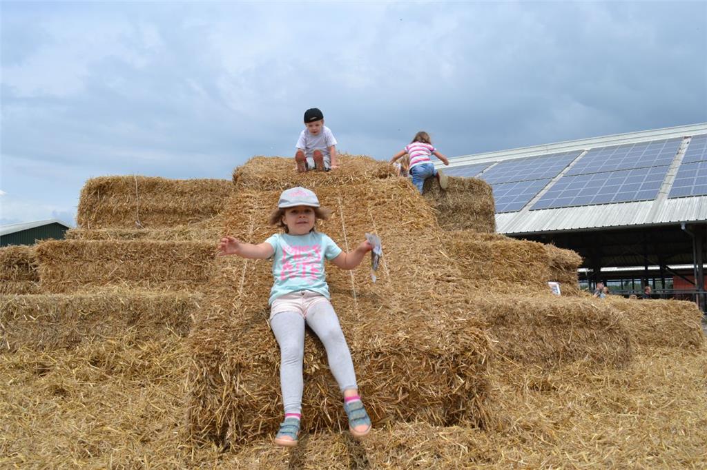Impressionen vom Tag des offenen Hofes in Uthlede. Foto: Hansen