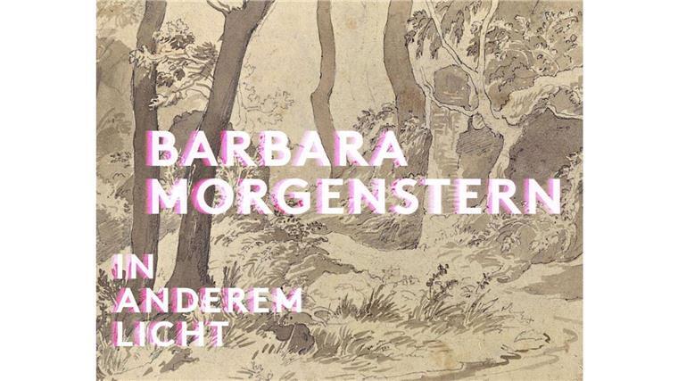 „In anderem Licht“ - kammermusikalischer Pop von Barbara Morgenstern.