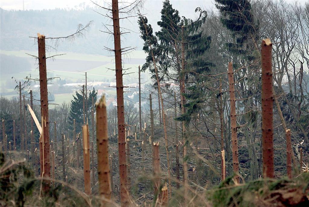 In Balve (Nordrhein-Westfalen) knickten die Bäume um wie Streichhölzer.