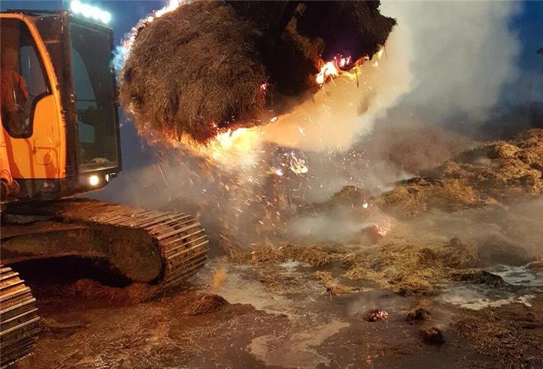 ARCHIV - 11.01.2024, Nordrhein-Westfalen, Leverkusen: Ein Blaulicht leuchtet auf einem Feuerwehrwagen. (zu dpa: «Brände in zwei Schulen in Berlin-Steglitz - niemand verletzt») Foto: Rolf Vennenbernd/dpa +++ dpa-Bildfunk +++