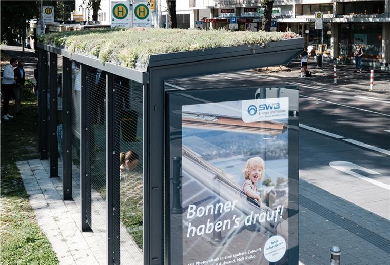 In Bonn gibt es bereits Gründächer auf Wartehäuschen der Busse, das frühere Pilotprojekt der Firma Ströer.