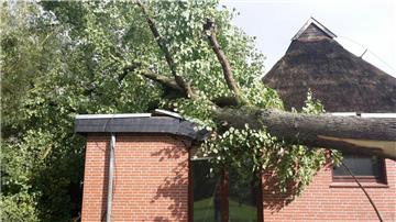In Brake-Käseburg drückte ein umgewehter Baum ein Hausdach ein. Foto Feuerwehr