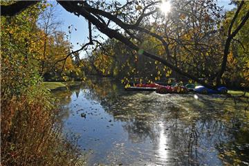 In Bremerhaven (hier im Bürgerpark) und umzu bleibt der Herbst mild.