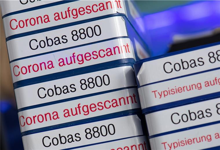 Leere Halterungen für die Analyse von Corona-Abstrichen stehen in einem Regal