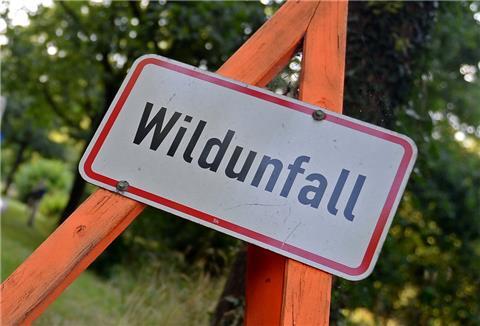 In Bremerhaven-Surheide hat es einen Wildunfall gegeben.