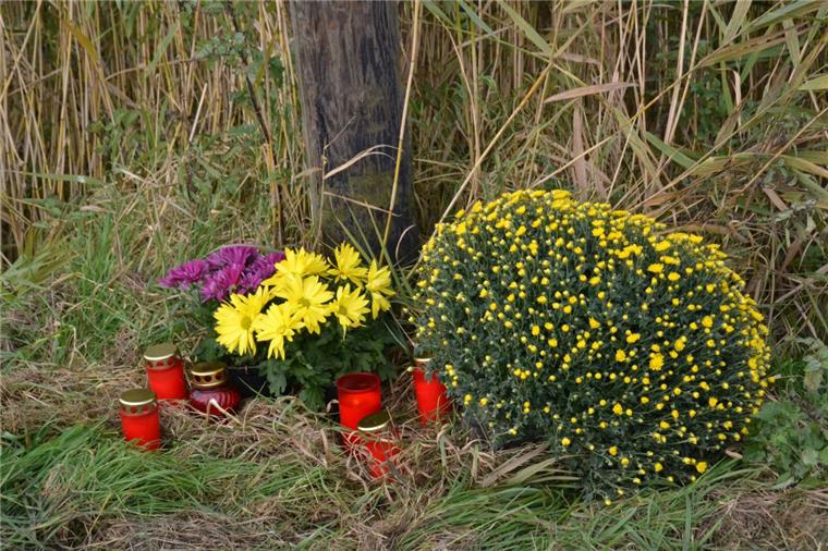 Butjadingen: Zweites Unfallopfer verstorben In Butjadingen wird getrauert: An der Unfallstelle wurden Blumen und Kerzen niedergelegt.