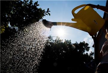 In dem sehr trockenen Frühjahr wird laut Wasserverband Wesermünde überdurchschnittlich viel Trinkwasser verbraucht. Langsam wird es knapp.