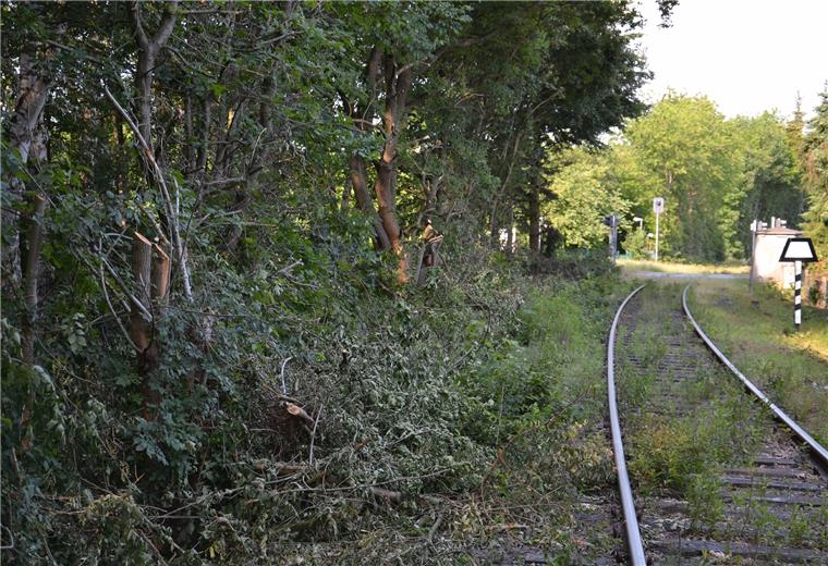 Zeven: EVB lässt an der Kleinbahn die Sägen kreisen In den Augen von Anwohnern der Gleise haben Arbeiter im Auftrag der EVB entlang der Strecke gewütet. Büsche und Bäume seien zerstört worden, klagen sie mit Blick auf den Bereich An der Kleinbahn und Moorweg.