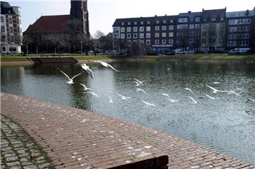 Holzhafen