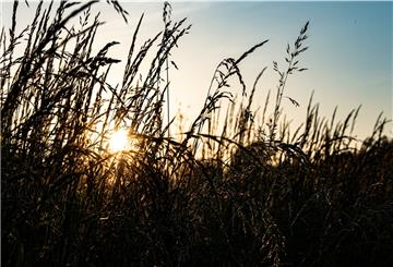 In den nächsten Tagen wird es in Bremerhaven und umzu sonnig.
