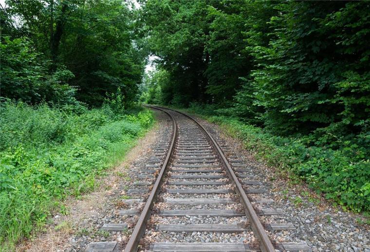 So steht es um die Reaktivierung der Bahnstrecken in der Region Schienen verlaufen auf der alten Bahnstrecke Rinteln - Stadthagen am alten Bahnhof Nienstädt im Landkreis Schaumburg