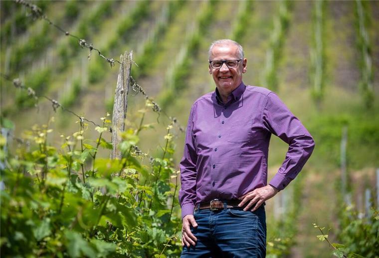 In den Weinbergen wächst ausschließlich Riesling.