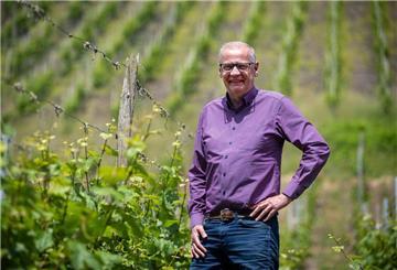 In den Weinbergen wächst ausschließlich Riesling.