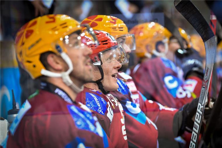 Fischtown Pinguins: Kosten für neue Scheiben übernimmt die Stadthalle In der Eisarena werden neue Scheiben eingesetzt, damit die Zuschauer bei den Spielen wieder einen besseren Blick auf auf Cory Quirk, Ross Mauermann und Co. haben.