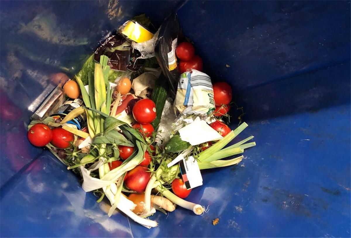 Weggeschmissene Lebensmittel liegen in einer Mülltonne. (zu dpa «Hummer aus dem Müll - «Containern» gegen Verschwendung») +++ dpa-Bildfunk +++