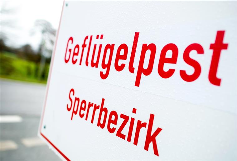 Cuxland: Geflügelpest-Ausbruch bestätigt Ein Schild mit der Aufschrift «Geflügelpest Sperrbezirk» steht an einer Straße im Landkreis Cloppenburg.