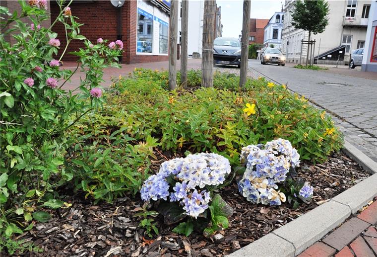 Stadt Nordenham sucht Paten für Straßenbeete In der Grünen Straße haben Anwohner die Pflege der Beete übernommen. Das sieht schön aus.