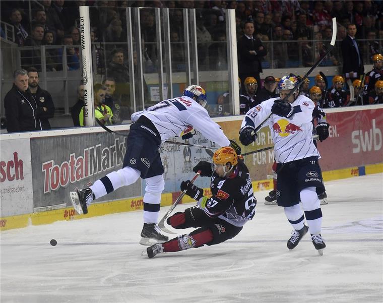 In der Hauptrunde gewann München beide Spiele in Bremerhaven, während die Fischtown Pinguins beide Spiele in München für sich entschieden.