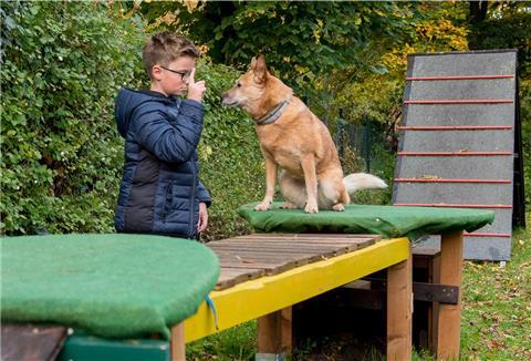 In der Hundeschule im Landkreis Rotenburg haben die beiden viel Spaß, trotz einiger Einschränkungen haben sich Anton und Candice gefunden.