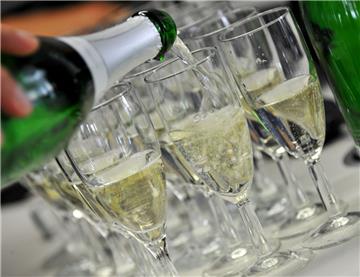 In der Wesermarsch gibt es ein breites Angebot an Silvesterfeiern. Etliche sind schon ausgebucht. Bei anderen gibt es noch Platz.