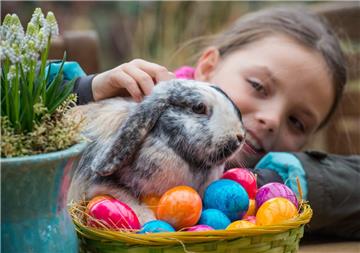 In der Woche vor Ostern gibt es bei den Gartencentern Wassenaar in Bremen und Bremerhaven zahlreiche Familienangebote, darunter einen kleinen Streichelzoo. 