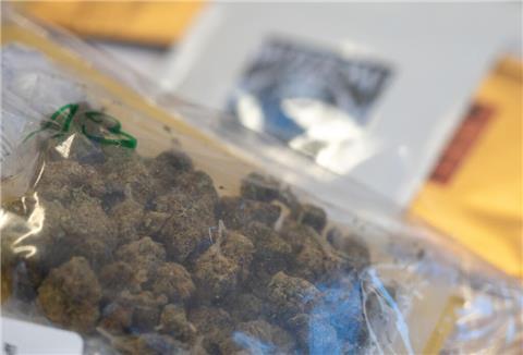 Marihuana, das illegal per Brief versendet wurde, liegt während einer Pressekonferenz zur neuen Task Force Briefermittlungen bei der Staatsanwaltschaft Marburg in einer Hülle. 