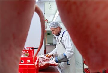 In der Zerlegeabteilung der Fleischerei „Cuxland pur“ in Hemmoor verarbeitet Olegs Pantelejevs ausschließlich Bio-Schweine mit Ringelschwänzen. In der Regel werden Schweine verarbeitet, bei denen die Schwänze im Ferkelalter ohne Betäubung entfernt wurden, um zu verhindern, dass sich Schweine darin verbeißen.
