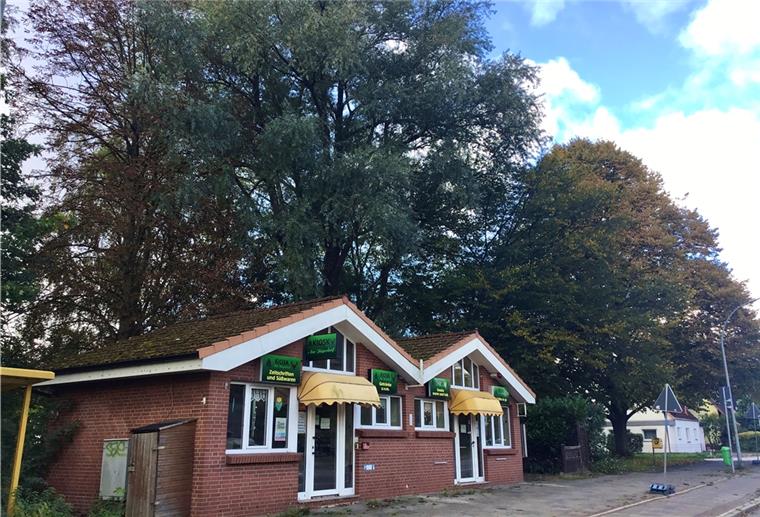 In diesem grünen Dreieck Wurster/Gaußstraße will Investor Rolf Specht in der Nähe zum Haven Hospiz auch eine Krippe mit 40 Plätzen errichten. Dazu müssten einige der uralten mächtigen Bäume gefällt werden.