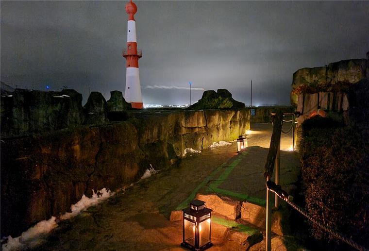 Nachts im Zoo: Ein besonderes Erlebnis im Zoo am Meer In dieser gemütlichen Atmosphäre findet die Nachtwanderung durch den Zoo statt.