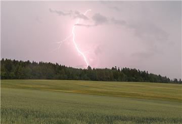 Ein Blitz ist bei einem Gewitter in der Nähe von Langenau über einem Waldstück zu sehen.
