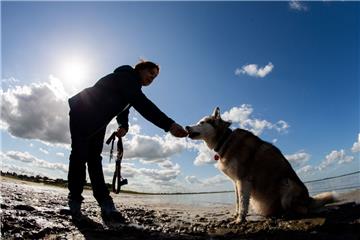 In Döse sind jetzt auch Hunde am Strand (Symbolfoto) erlaubt.