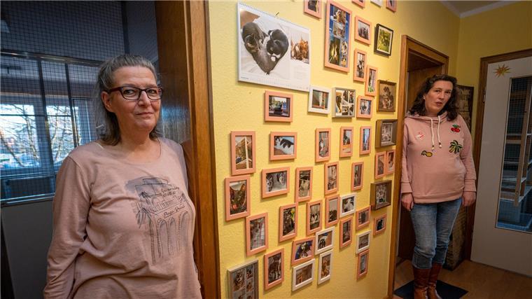 In einer Fotogalerie im Flur des Katzenhotels von Ute Kellmer (l). und Dr. Tatjana Rusch sind Bilder zufriedener Gäste zu sehen.