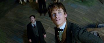 In fünf Filmen erforscht Newt Scamander (Eddie Redmayne) "Phantastische Tierwesen und wo sie zu finden sind". 