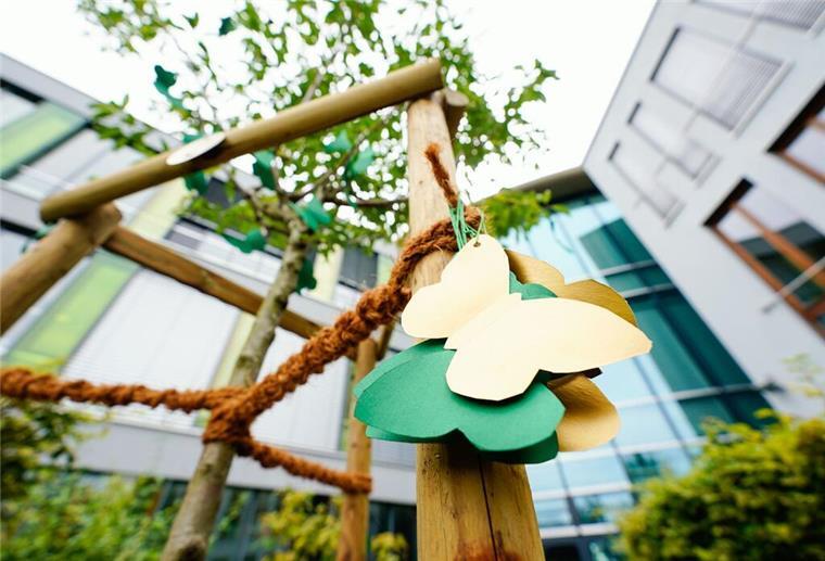Elf Jahre Haft für Schüler wegen Mordes an Ex-Freundin In Gedenken an die durch ihren Ex-Freund getötete Abiturientin hat die Schulgemeinde ein Mandelbäumchen auf ihrem Gelände gepflanzt. (Archivblid)