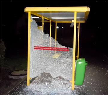 In Grünhöfe haben Unbekannte in der Nacht zu Donnerstag eine Haltestelle zerstört.