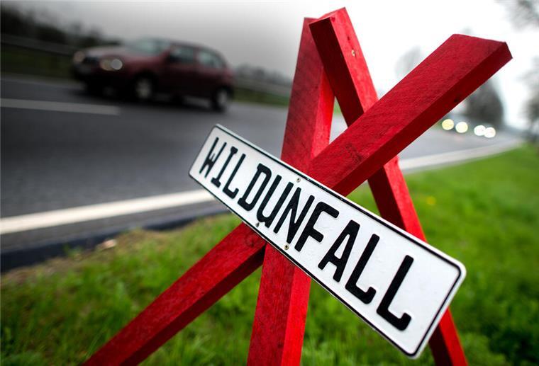 ARCHIV - 12.04.2017, Niedersachsen, Wolfsdorf: Ein rotes Dreibein mit dem Hinweis auf einen Wildunfall steht auf der Bundesstraße 244 zwischen Helmstedt und Schöningen. (zu dpa «Landesbetrieb entsorgt täglich 15 im Verkehr getötete Tiere» vom 24.02.2018) Foto: Hauke-Christian Dittrich/dpa +++ dpa-Bildfunk +++