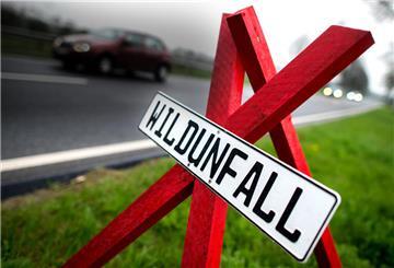 ARCHIV - 12.04.2017, Niedersachsen, Wolfsdorf: Ein rotes Dreibein mit dem Hinweis auf einen Wildunfall steht auf der Bundesstraße 244 zwischen Helmstedt und Schöningen. (zu dpa «Landesbetrieb entsorgt täglich 15 im Verkehr getötete Tiere» vom 24.02.2018) Foto: Hauke-Christian Dittrich/dpa +++ dpa-Bildfunk +++