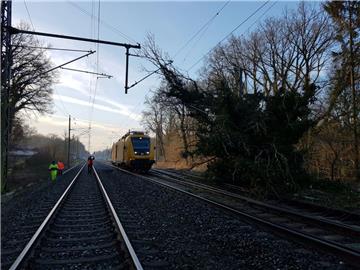 In Lübberstedt ist ein Baum auf die Oberleitungen der Bahnstrecke gestürzt. Die Strecke zwischen Bremerhaven und Bremen musste lange gesperrt werden.