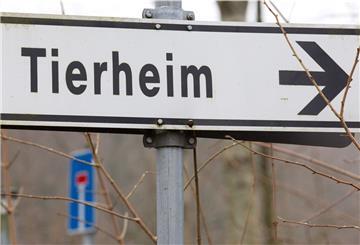 Ein Schild «Tierheim» ist vor einem Schild «Sackgasse» zu sehen. 