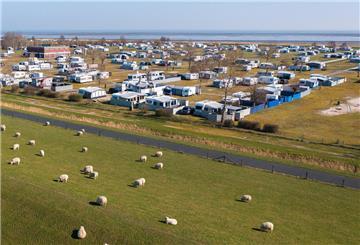 Schafe sind bei schönem Wetter und Sonnenschein auf einer Wiese vor dem Campingplatz von Hooksiel an der Nordseeküste.
