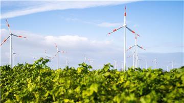 In Nord- und Ostdeutschland sollen mehrere neue Windparks entstehen. (Archivfoto)