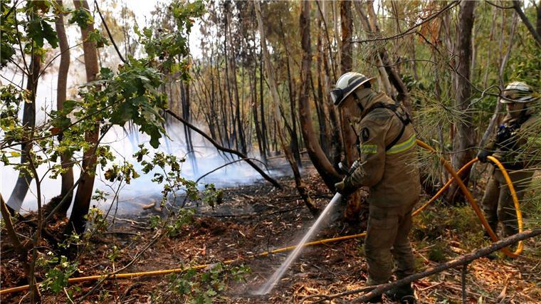 Bereits vier Tote bei Waldbränden in Portugal In Portugal gibt es eine leichte Entspannung bei den schweren Waldbränden. Noch aber sind rund 1.400 Feuerwehrleute im Einsatz.